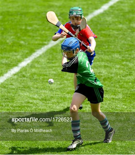 Allianz Cumann na mBunscol Finals 2019 Allianz Cumann na mBunscol Finals 2019