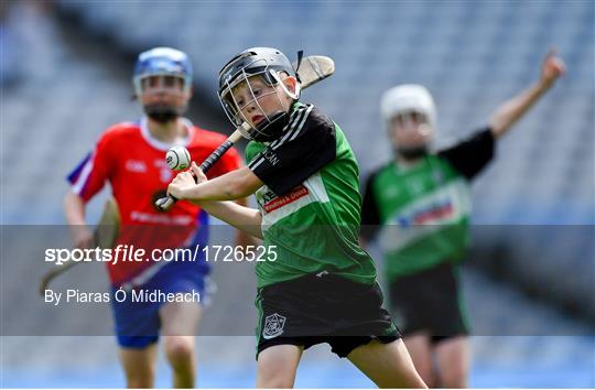 Allianz Cumann na mBunscol Finals 2019