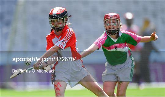 Allianz Cumann na mBunscol Finals 2019