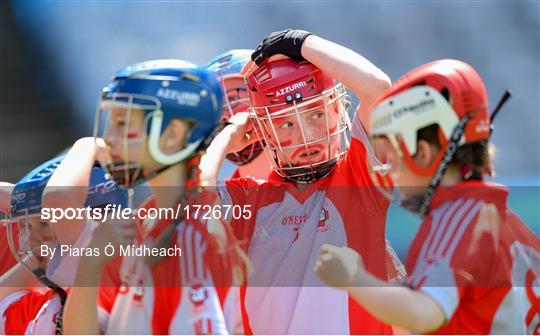 Allianz Cumann na mBunscol Finals 2019 Allianz Cumann na mBunscol Finals 2019