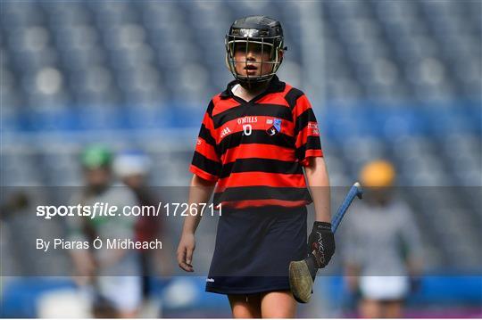 Allianz Cumann na mBunscol Finals 2019 Allianz Cumann na mBunscol Finals 2019