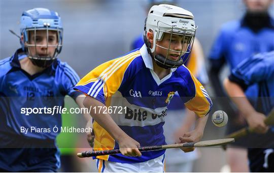 Allianz Cumann na mBunscol Finals 2019 Allianz Cumann na mBunscol Finals 2019