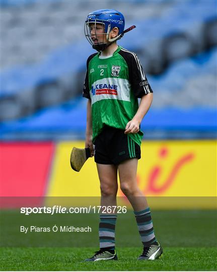 Allianz Cumann na mBunscol Finals 2019 Allianz Cumann na mBunscol Finals 2019