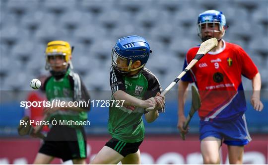 Allianz Cumann na mBunscol Finals 2019