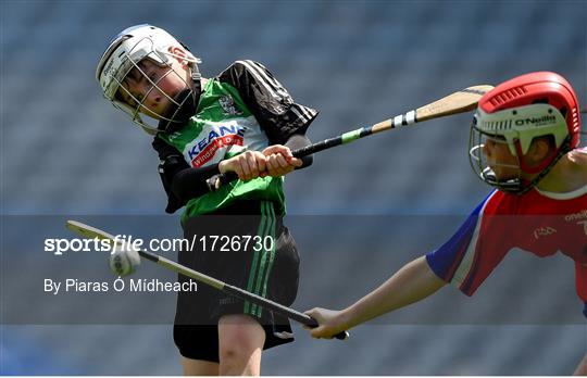 Allianz Cumann na mBunscol Finals 2019 Allianz Cumann na mBunscol Finals 2019