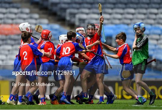 Allianz Cumann na mBunscol Finals 2019 Allianz Cumann na mBunscol Finals 2019