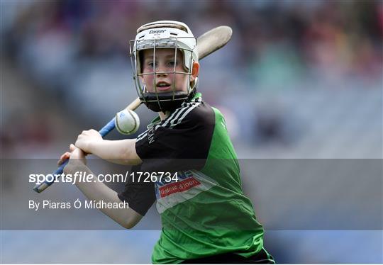 Allianz Cumann na mBunscol Finals 2019 Allianz Cumann na mBunscol Finals 2019