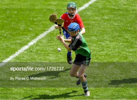 Allianz Cumann na mBunscol Finals 2019