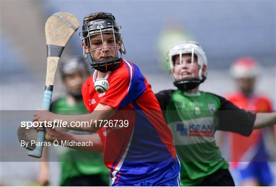 Allianz Cumann na mBunscol Finals 2019 Allianz Cumann na mBunscol Finals 2019