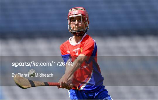 Allianz Cumann na mBunscol Finals 2019 Allianz Cumann na mBunscol Finals 2019