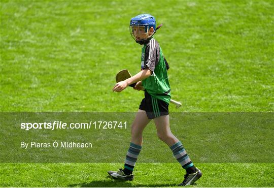 Allianz Cumann na mBunscol Finals 2019 Allianz Cumann na mBunscol Finals 2019
