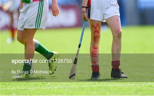 Allianz Cumann na mBunscol Finals 2019