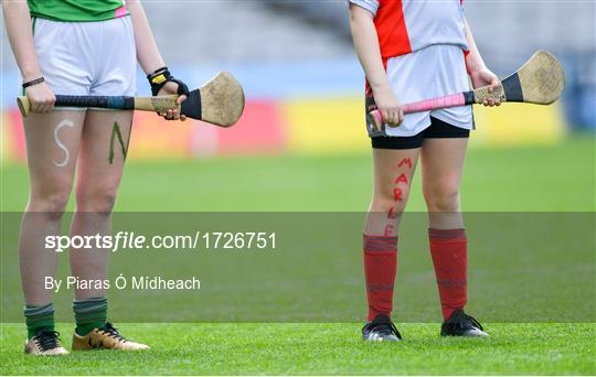 Allianz Cumann na mBunscol Finals 2019 Allianz Cumann na mBunscol Finals 2019