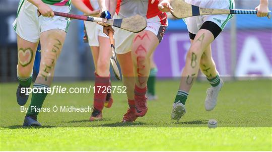 Allianz Cumann na mBunscol Finals 2019 Allianz Cumann na mBunscol Finals 2019