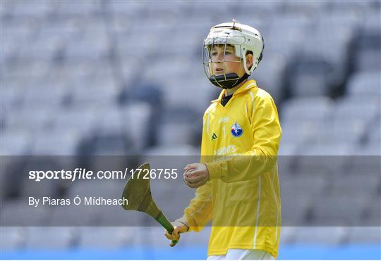 Allianz Cumann na mBunscol Finals 2019