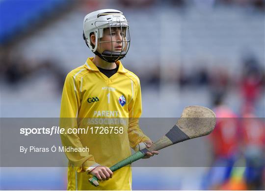 Allianz Cumann na mBunscol Finals 2019