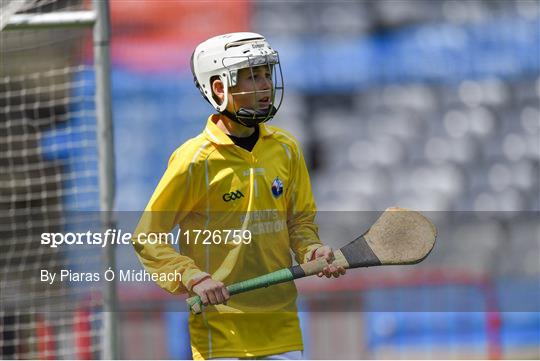 Allianz Cumann na mBunscol Finals 2019