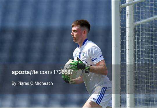 Meath v Laois - Leinster GAA Football Senior Championship Semi-Final