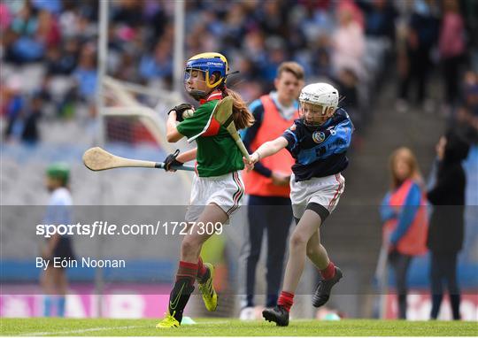 Allianz Cumann na mBunscol Finals 2019 Allianz Cumann na mBunscol Finals 2019