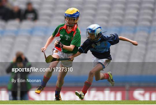 Allianz Cumann na mBunscol Finals 2019