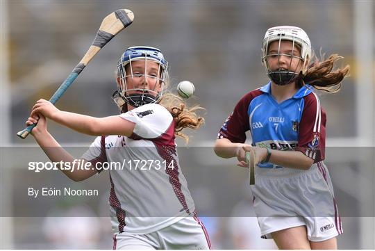 Allianz Cumann na mBunscol Finals 2019