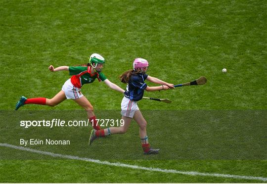 Allianz Cumann na mBunscol Finals 2019 Allianz Cumann na mBunscol Finals 2019