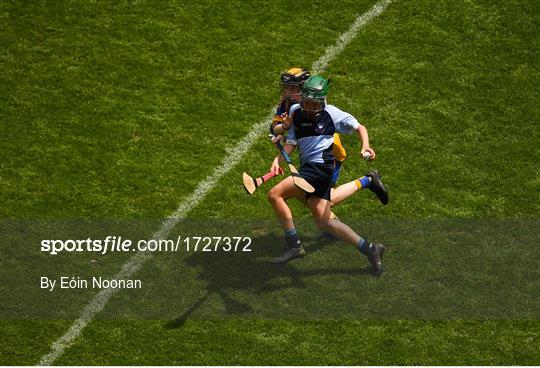 Allianz Cumann na mBunscol Finals 2019