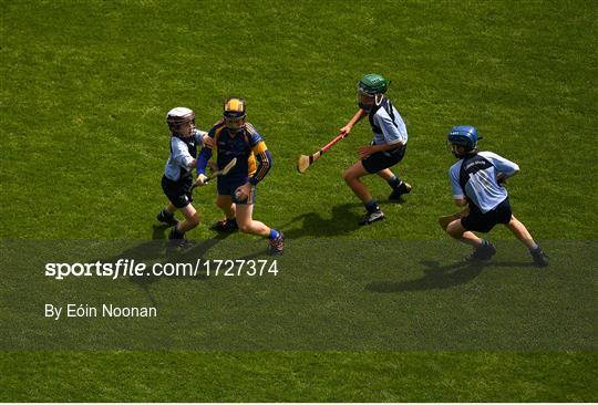 Allianz Cumann na mBunscol Finals 2019