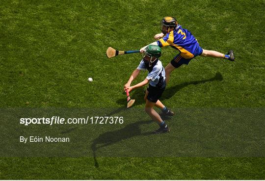 Allianz Cumann na mBunscol Finals 2019 Allianz Cumann na mBunscol Finals 2019