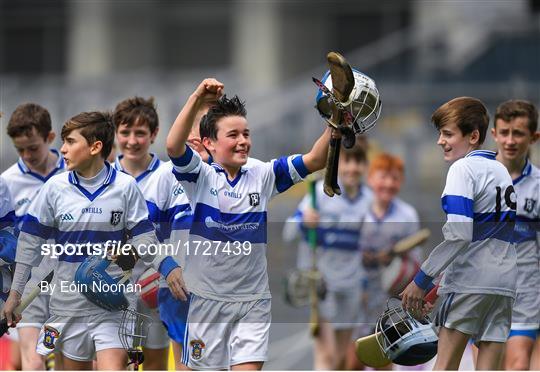 Allianz Cumann na mBunscol Finals 2019 Allianz Cumann na mBunscol Finals 2019