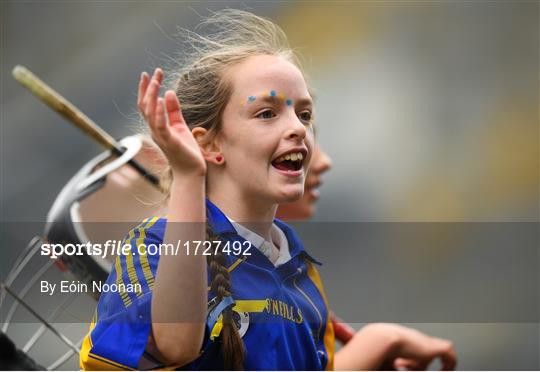 Allianz Cumann na mBunscol Finals 2019