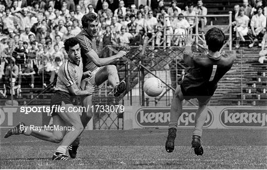Meath v Dublin - 1983 Leinster Senior Football Championship quarter-final replay