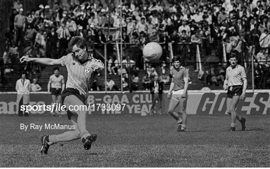Dublin v Meath - 1983 Leinster Senior Football Championship quarter-final replay