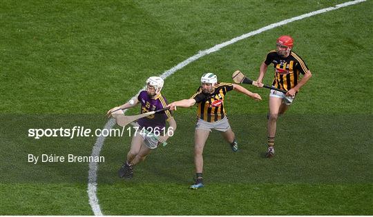 Kilkenny v Wexford - Leinster GAA Hurling Senior Championship Final Kilkenny v Wexford - Leinster GAA Hurling Senior Championship Final