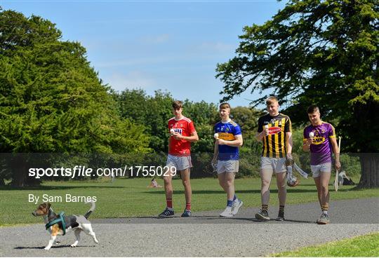 Bord Gáis Energy GAA U-20 Hurling Provincial Championship Finals Preview