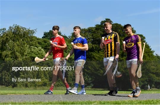 Bord Gáis Energy GAA U-20 Hurling Provincial Championship Finals Preview