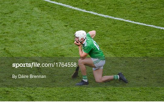 Kilkenny v Limerick - GAA Hurling All-Ireland Senior Championship Semi-Final