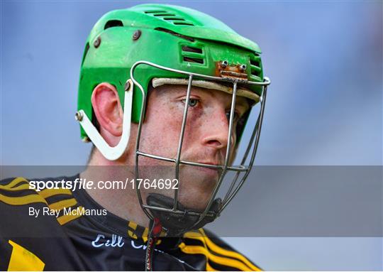 Kilkenny v Limerick - GAA Hurling All-Ireland Senior Championship Semi-Final Kilkenny v Limerick - GAA Hurling All-Ireland Senior Championship Semi-Final