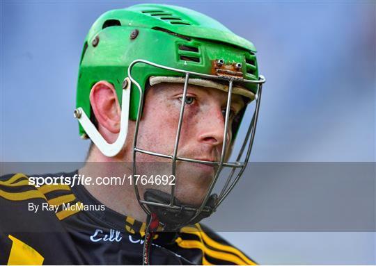 Kilkenny v Limerick - GAA Hurling All-Ireland Senior Championship Semi-Final