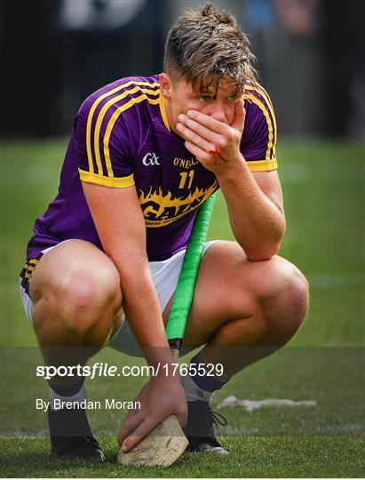 Wexford v Tipperary - GAA Hurling All-Ireland Senior Championship Semi-Final