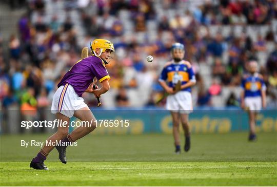 INTO Cumann na mBunscol GAA Respect Exhibition Go Games at Tipperary v Wexford - GAA Hurling All-Ireland Senior Championship Semi Final