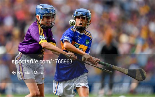 INTO Cumann na mBunscol GAA Respect Exhibition Go Games at Tipperary v Wexford - GAA Hurling All-Ireland Senior Championship Semi Final