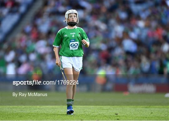 INTO Cumann na mBunscol GAA Respect Exhibition Go Games at Kilkenny v Limerick - GAA Hurling All-Ireland Senior Championship Semi Final