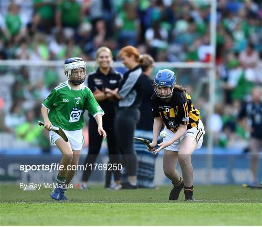 INTO Cumann na mBunscol GAA Respect Exhibition Go Games at Kilkenny v Limerick - GAA Hurling All-Ireland Senior Championship Semi Final INTO Cumann na mBunscol GAA Respect Exhibition Go Games at Kilkenny v Limerick - GAA Hurling All-Ireland Senior Championship Semi Final