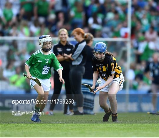 INTO Cumann na mBunscol GAA Respect Exhibition Go Games at Kilkenny v Limerick - GAA Hurling All-Ireland Senior Championship Semi Final