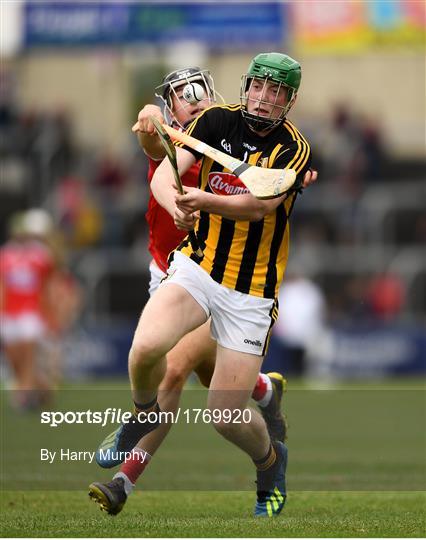 Kilkenny v Cork - Bord Gáis GAA Hurling All-Ireland U20 Championship Semi-Final