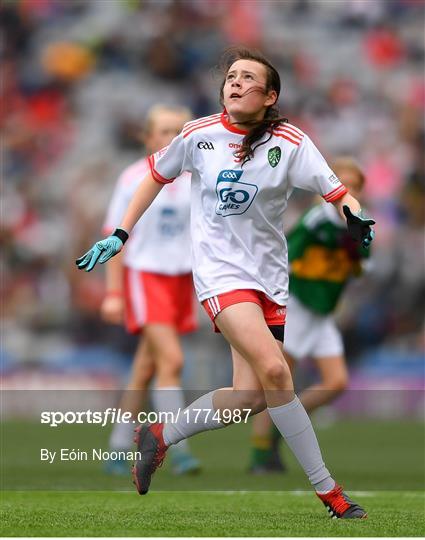 INTO Cumann na mBunscol GAA Respect Exhibition Go Games at Kerry v Tyrone - GAA Football All-Ireland Senior Championship Semi-Final INTO Cumann na mBunscol GAA Respect Exhibition Go Games at Kerry v Tyrone - GAA Football All-Ireland Senior Championship Semi-Final
