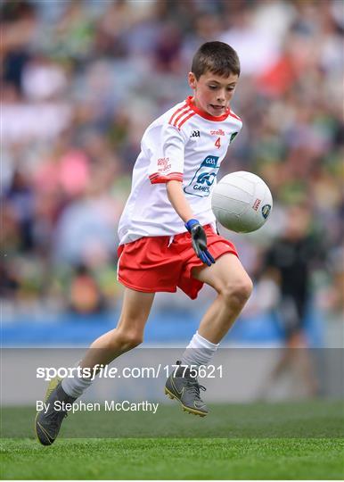 INTO Cumann na mBunscol GAA Respect Exhibition Go Games at Kerry v Tyrone - GAA Football All-Ireland Senior Championship Semi-Final INTO Cumann na mBunscol GAA Respect Exhibition Go Games at Kerry v Tyrone - GAA Football All-Ireland Senior Championship Semi-Final