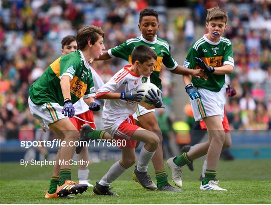 INTO Cumann na mBunscol GAA Respect Exhibition Go Games at Kerry v Tyrone - GAA Football All-Ireland Senior Championship Semi-Final INTO Cumann na mBunscol GAA Respect Exhibition Go Games at Kerry v Tyrone - GAA Football All-Ireland Senior Championship Semi-Final