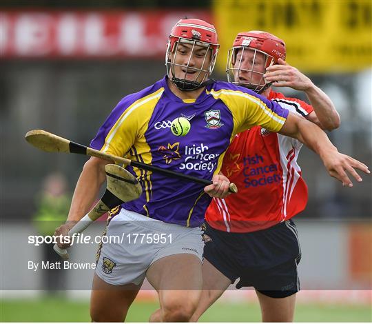 Hurling for Cancer Research 2019